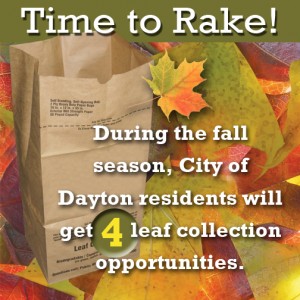 Dayton Leaf Collection