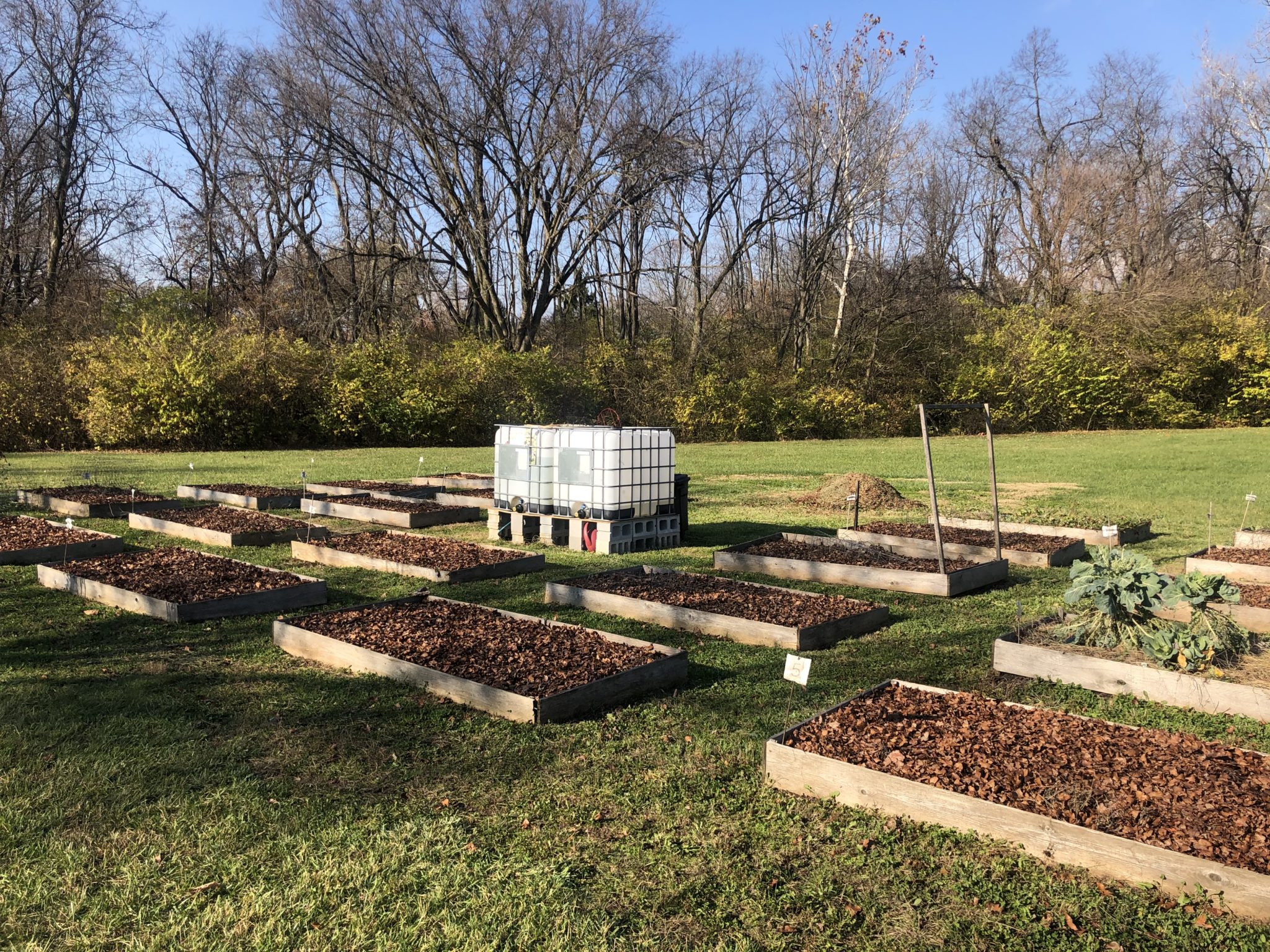 Community Garden – The Forest Ridge Association
